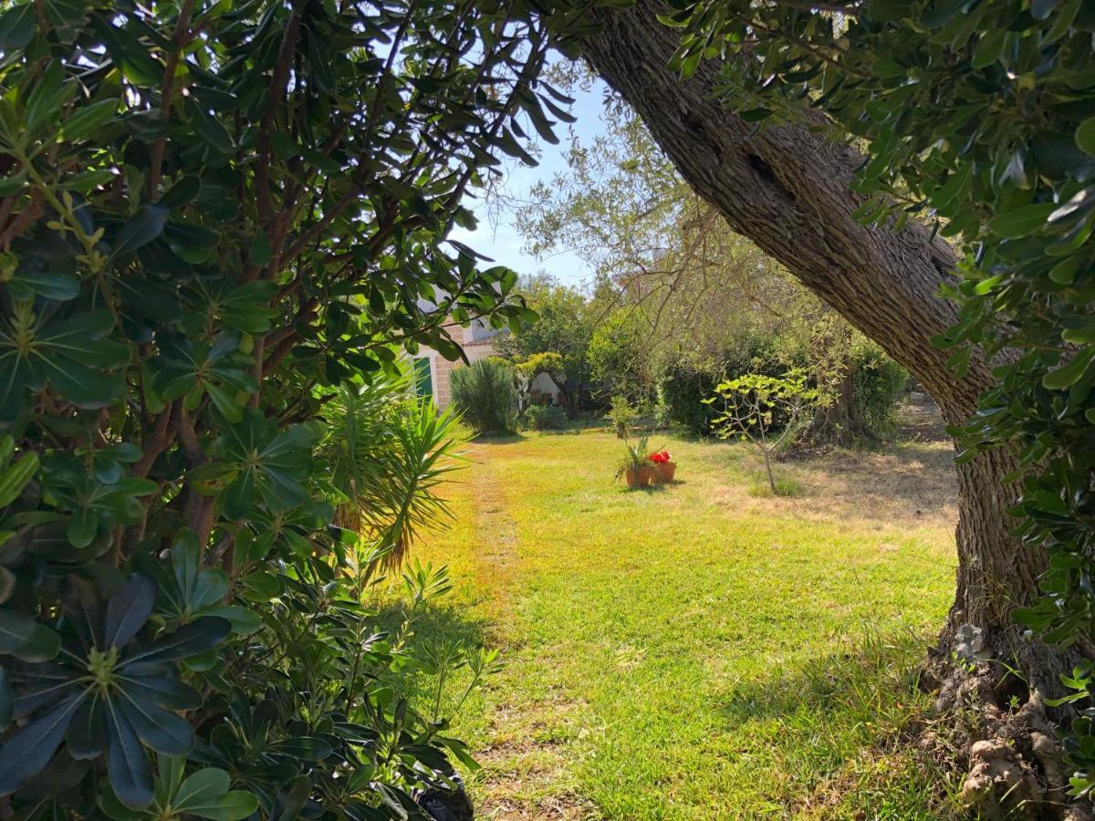 Villa Amecasa Augusta Extérieur photo